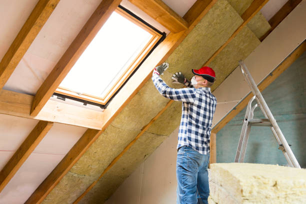 Best Insulation for Existing Homes  in Dover Plains, NY